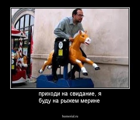 приходи на свидание, я буду на рыжем мерине 