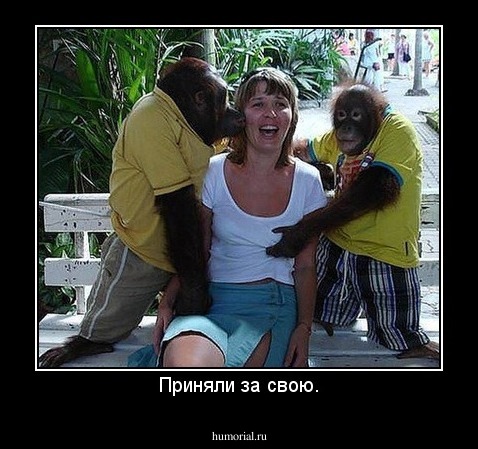 Приняли за свою.