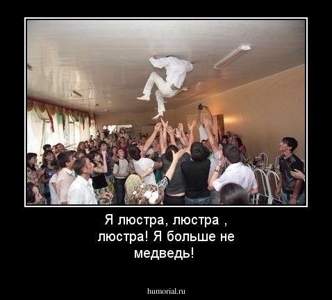 Я люстра, люстра , люстра! Я больше не медведь!
