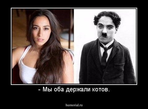- Мы оба держали котов.