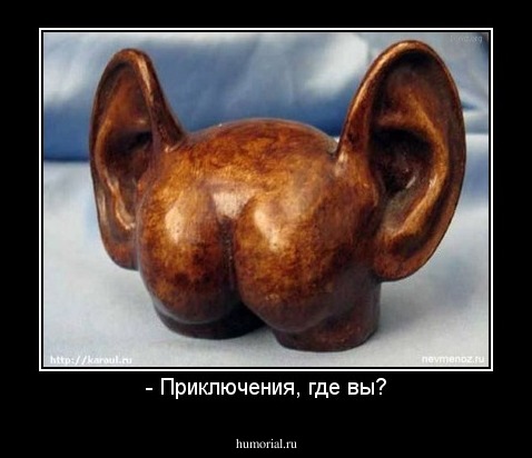 - Приключения, где вы?
