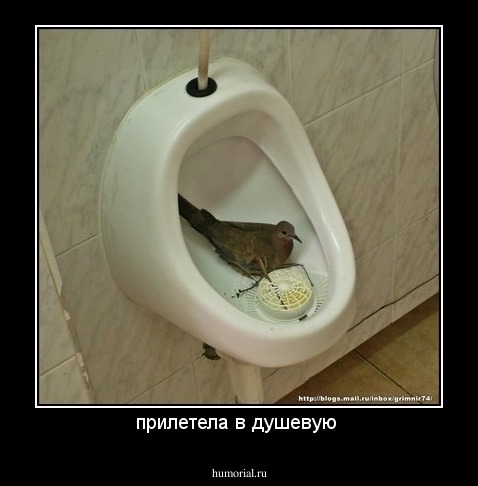 прилетела в душевую 