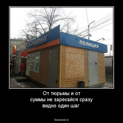 От тюрьмы и от суммы не зарекайся сразу видно один шаг