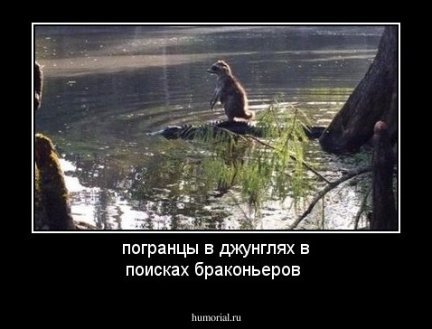    погранцы в джунглях                      в поисках браконьеров 