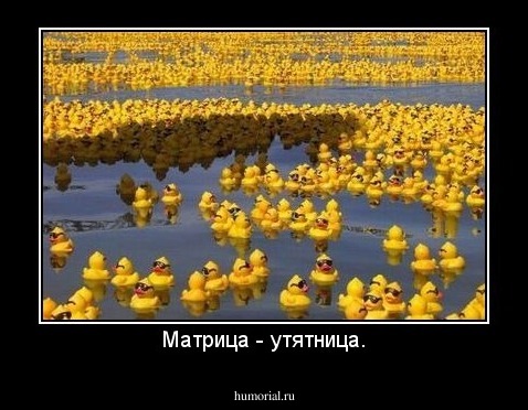 Матрица - утятница.