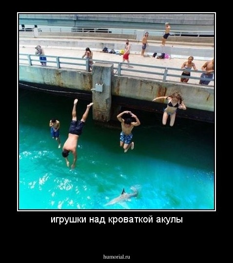 игрушки над кроваткой акулы
