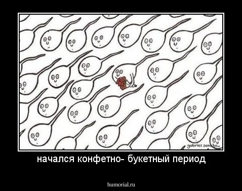 начался конфетно- букетный период