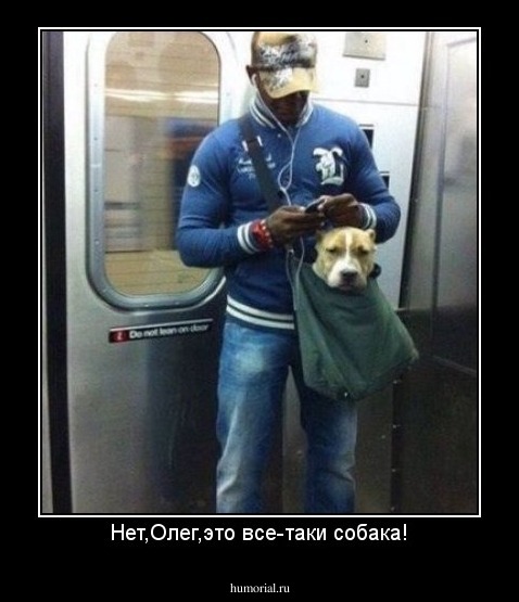 Нет,Олег,это все-таки собака!