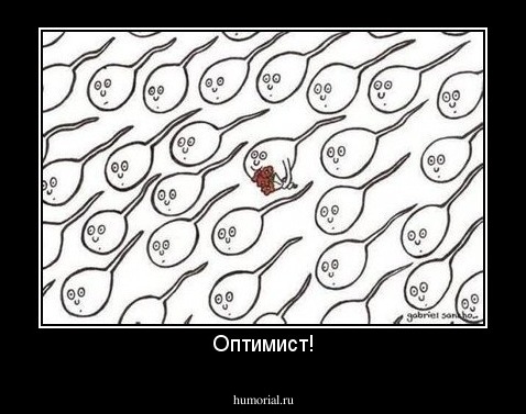 Оптимист!