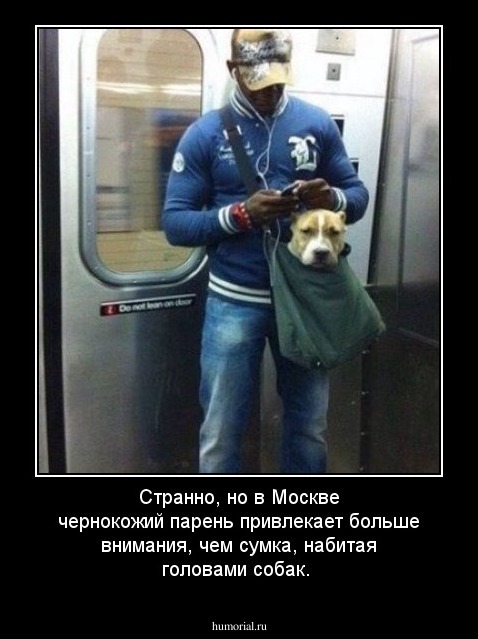 Странно, но в Москве чернокожий парень привлекает больше внимания, чем сумка, набитая головами собак.
