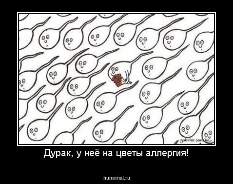 Дурак, у неё на цветы аллергия!