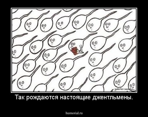 Так рождаются настоящие джентльмены.
