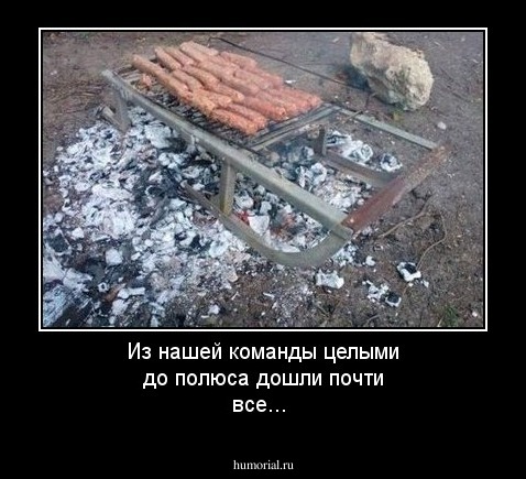 Из нашей команды целыми  до полюса  дошли почти все...