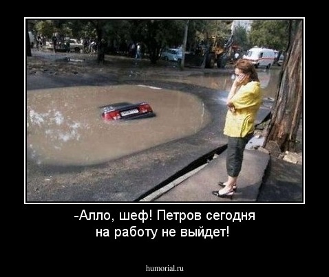 -Алло, шеф! Петров сегодня на работу не выйдет!