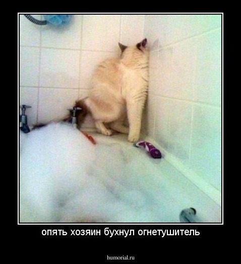 опять хозяин бухнул огнетушитель