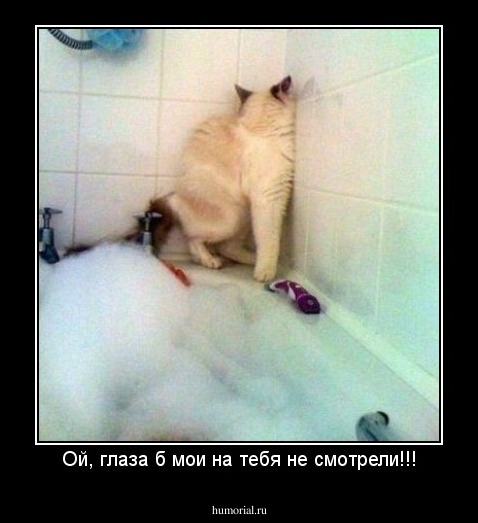 Ой, глаза б мои на тебя не смотрели!!!