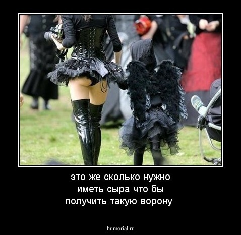 это же сколько нужно иметь сыра что бы получить такую ворону 