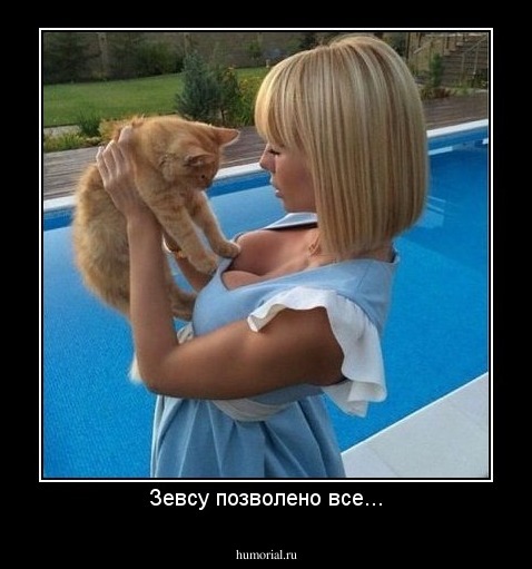 Зевсу позволено все...