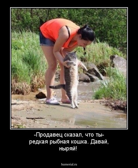 -Продавец сказал, что ты- редкая рыбная кошка. Давай, ныряй!