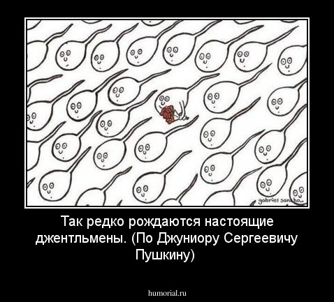  Так редко рождаются настоящие джентльмены. (По Джуниору Сергеевичу   Пушкину)