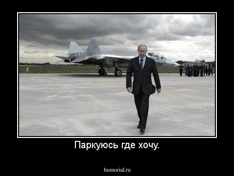 Паркуюсь где хочу.