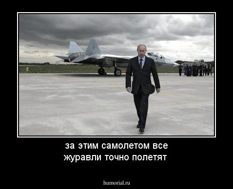 за этим самолетом все журавли точно полетят 