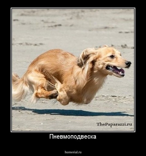 Пневмоподвеска