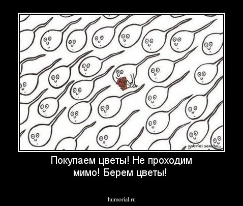 Покупаем цветы! Не проходим мимо! Берем цветы! 
