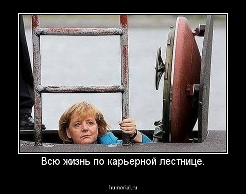 Всю жизнь по карьерной лестнице.