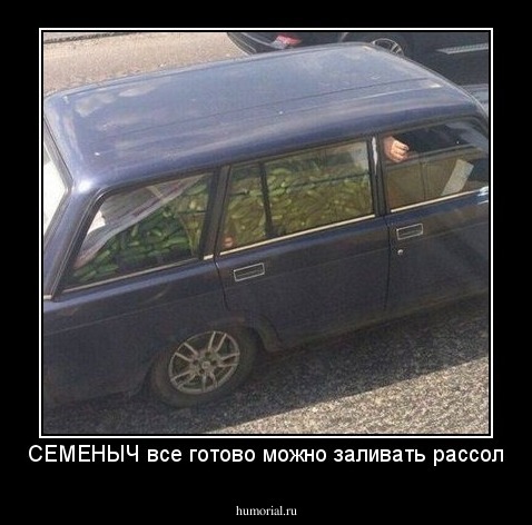 СЕМЕНЫЧ все готово можно заливать рассол