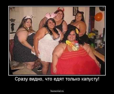 Сразу видно, что едят только капусту!