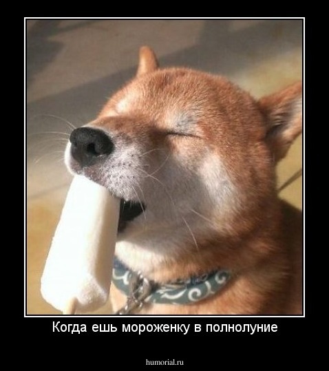 Когда ешь мороженку в полнолуние