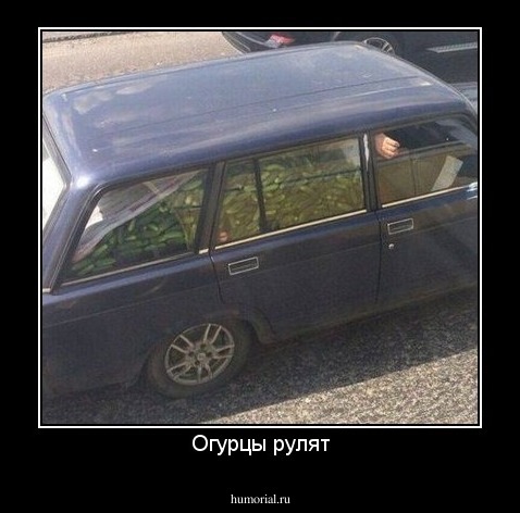 Огурцы рулят
