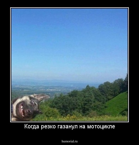 Когда резко газанул на мотоцикле