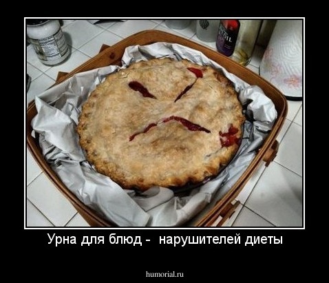 Урна для блюд -  нарушителей диеты
