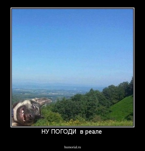 НУ ПОГОДИ  в реале 