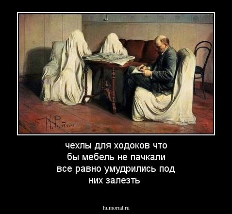 чехлы для ходоков что бы мебель не пачкали все равно умудрились под них залезть 