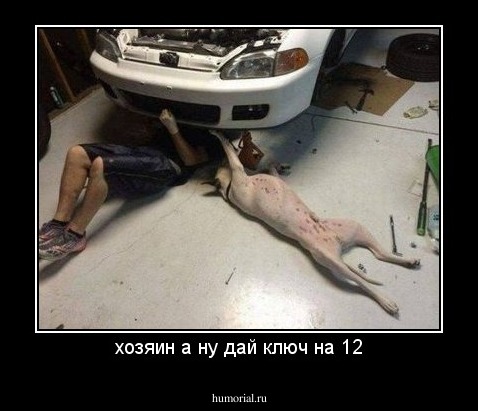 хозяин а ну дай ключ на 12