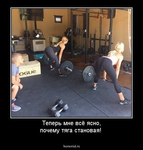 Теперь мне всё ясно, почему тяга становая!