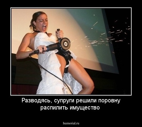 Разводясь, супруги решили поровну распилить имущество 