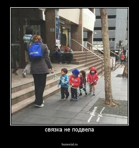 связка не подвела