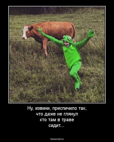 Ну, извини, приспичило так, что даже не глянул кто там в траве сидит...