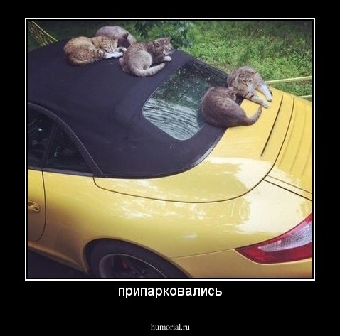 припарковались