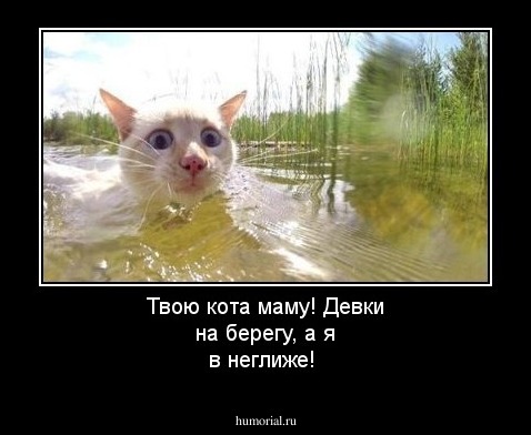 Твою кота маму! Девки на берегу, а я в неглиже!