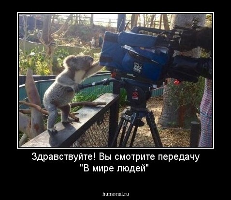 Здравствуйте! Вы смотрите передачу "В мире людей"