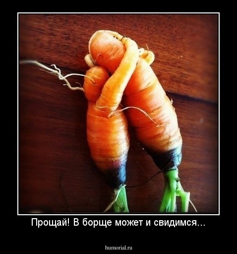 Прощай! В борще может и свидимся...