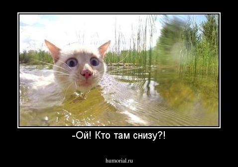 -Ой! Кто там снизу?!