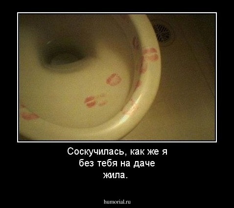 Соскучилась, как же я без тебя на даче жила.
