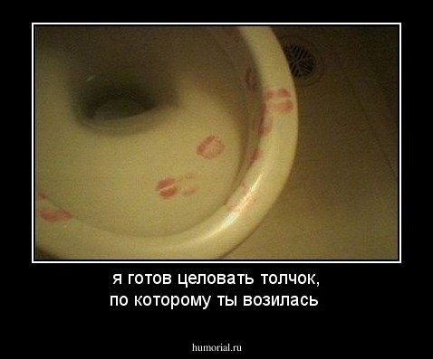 я готов целовать толчок, по которому ты возилась