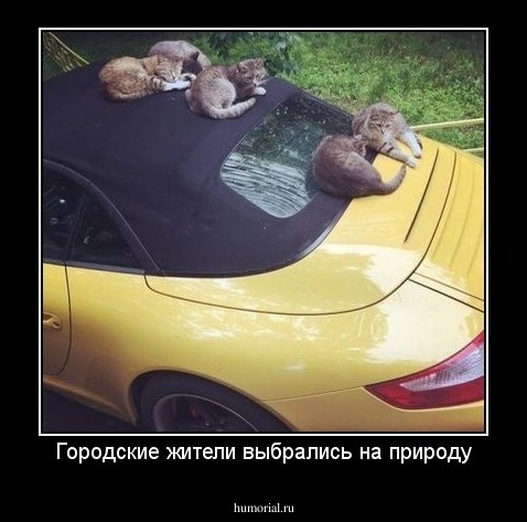 Городские жители выбрались на природу